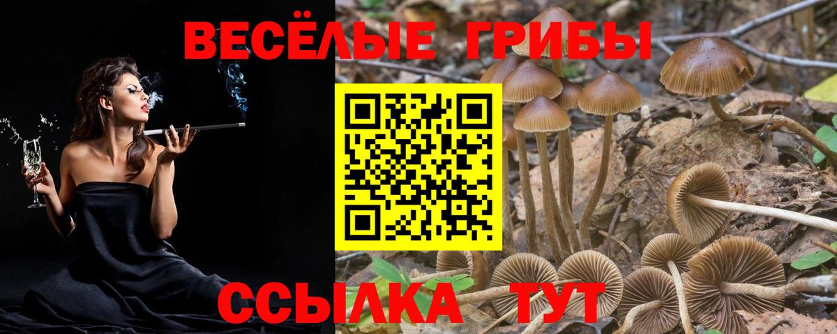 Галлюциногенные грибы Psilocybe  Вход с VPN  Наро-Фоминск 